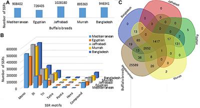 Whole-Genome-Based Web Genomic Resource for Water Buffalo (Bubalus bubalis)